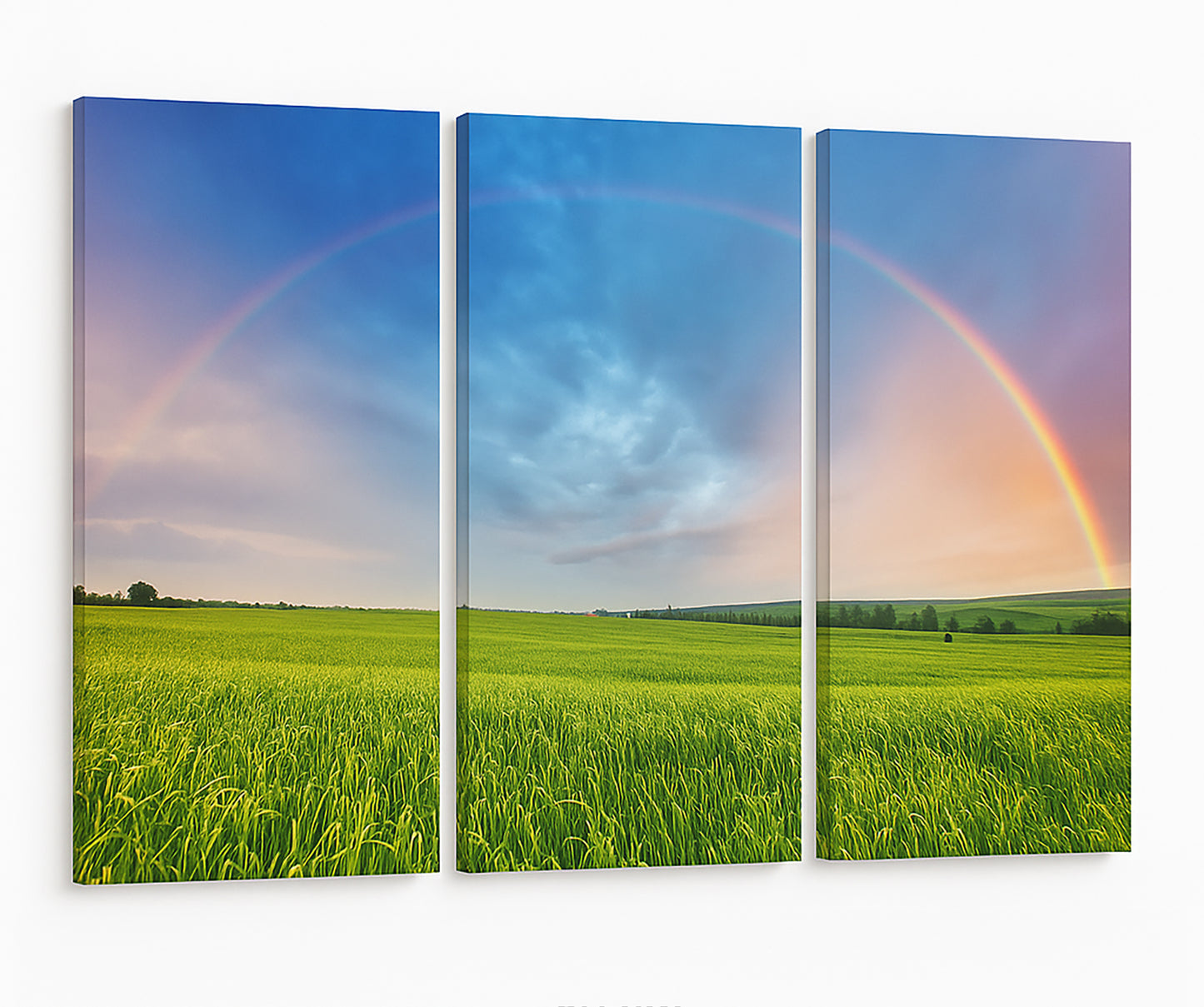 Canvas wall Art 3 piece Rainbow Print