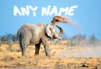 Name in Elephant image