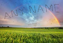 name in Rainbow Field image