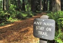 name on Forest trail image